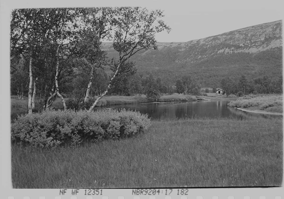 Anders Beer Wilse, Prot: Hodalen
