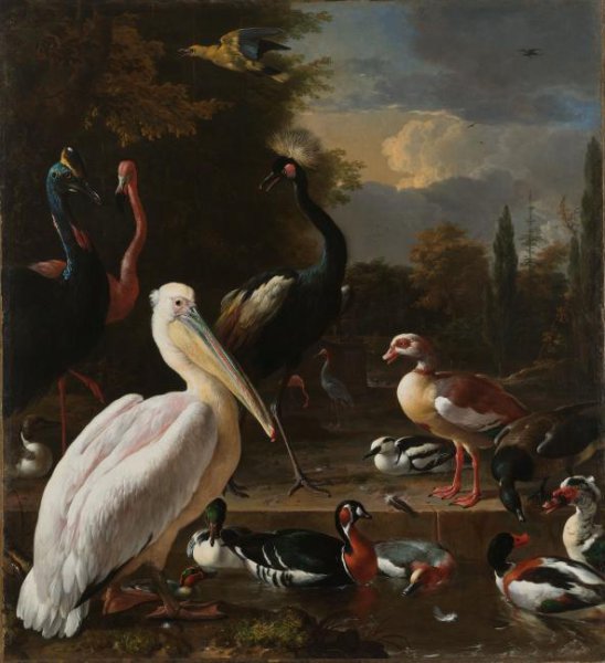 Melchior d' Hondecoeter, A Pelican and other Birds near a Pool, Known as ‘The Floating Feather’