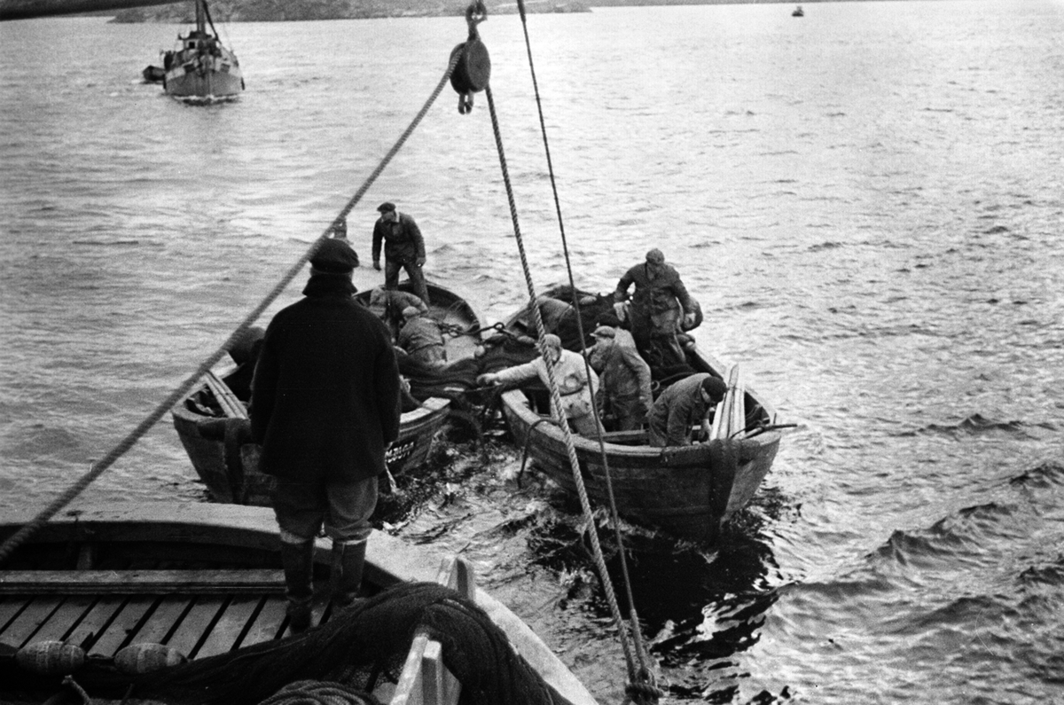 Anders Beer Wilse, Prot: Sildefiske Paa havet nær Haugesund