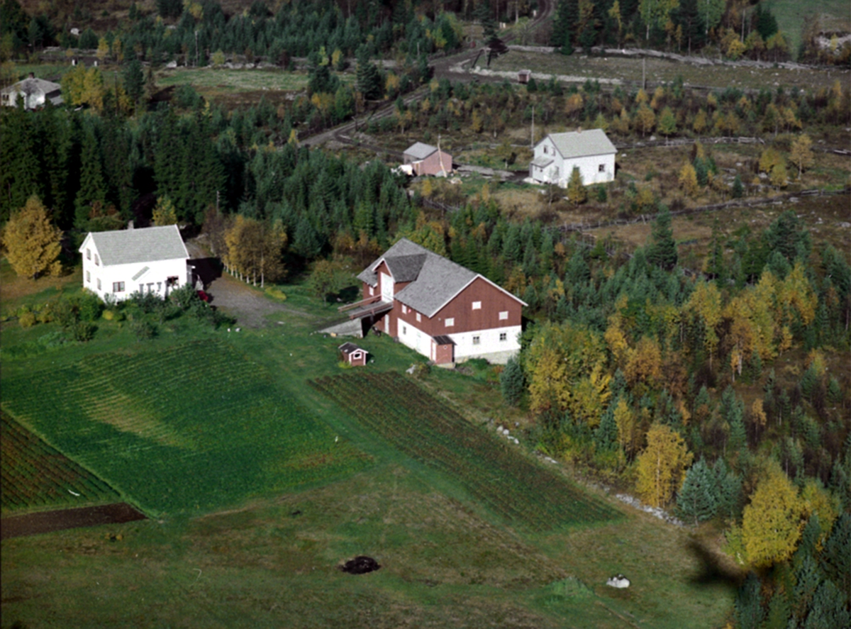Widerøes Flyveselskap A/S, FLYFOTO KJERNBO 404-38, FURUMO 404-123, ÅSVANG