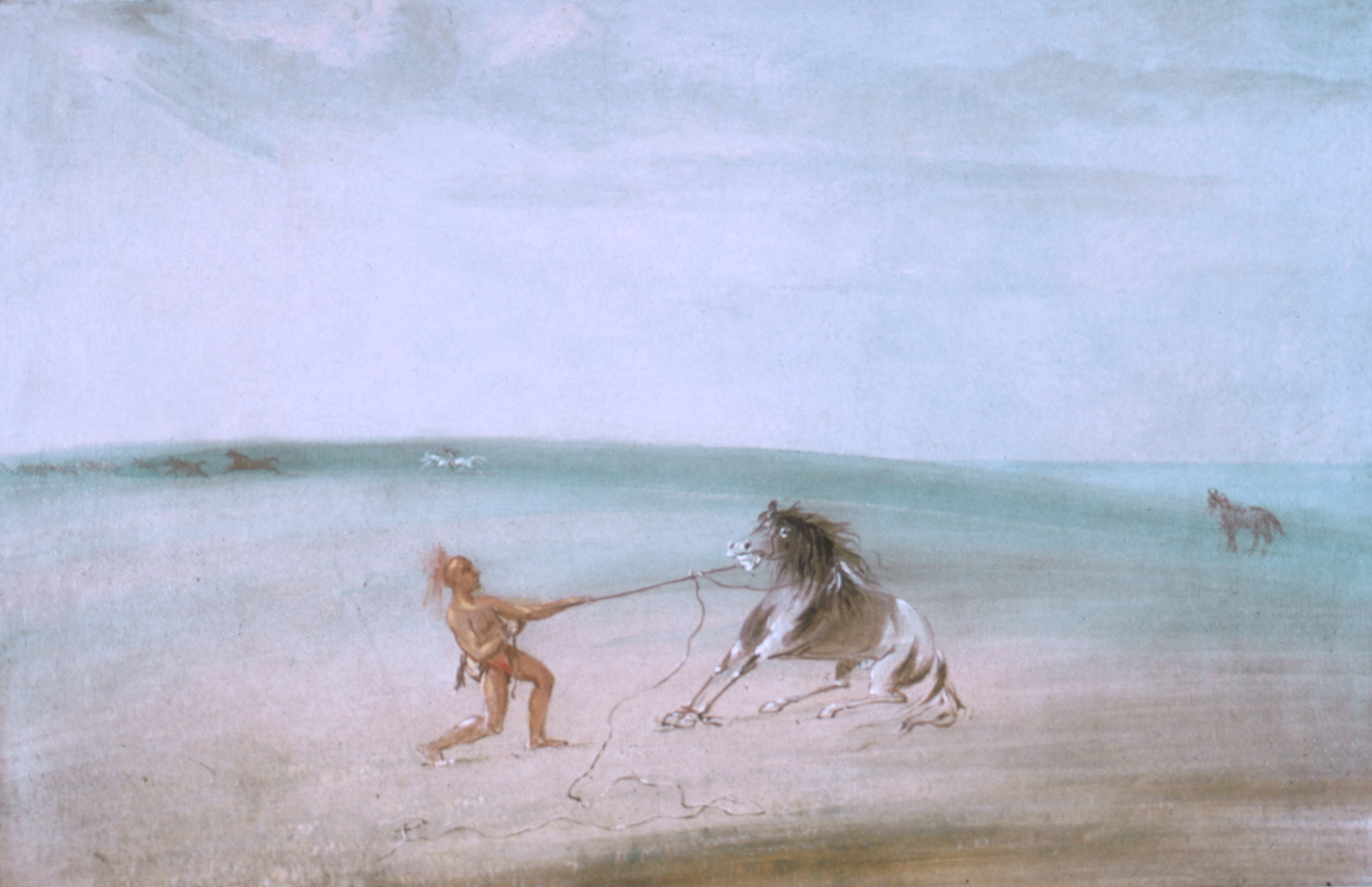 George Catlin, Breaking Down the Wild Horse