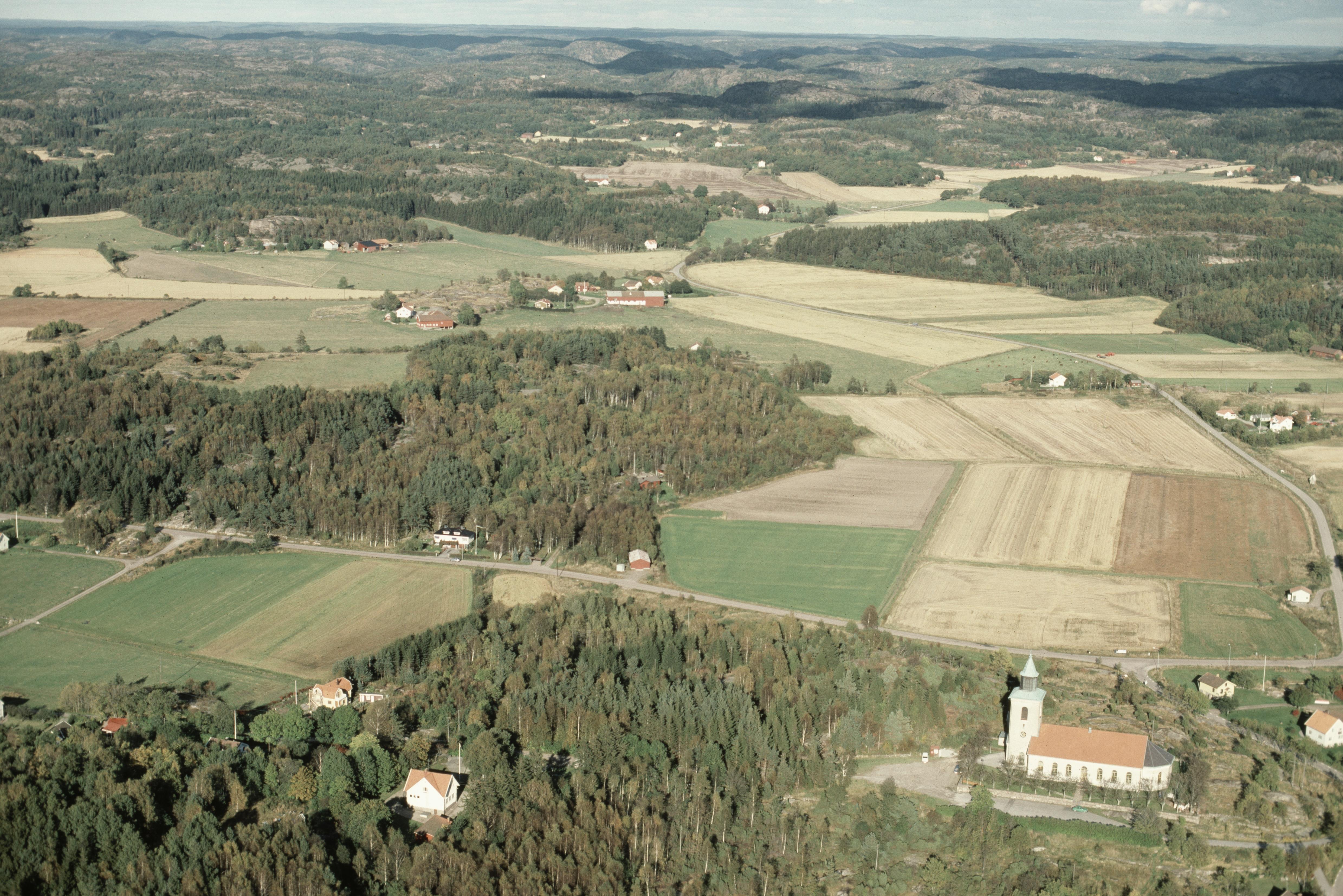 Jan Norrman, Tossene