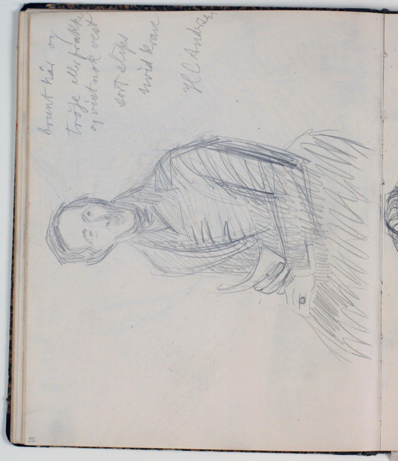 Niels Larsen Stevns, Studie af H. C. Andersen efter maleri af Chr. Albr. von Benzon 1835. Farveangivelser