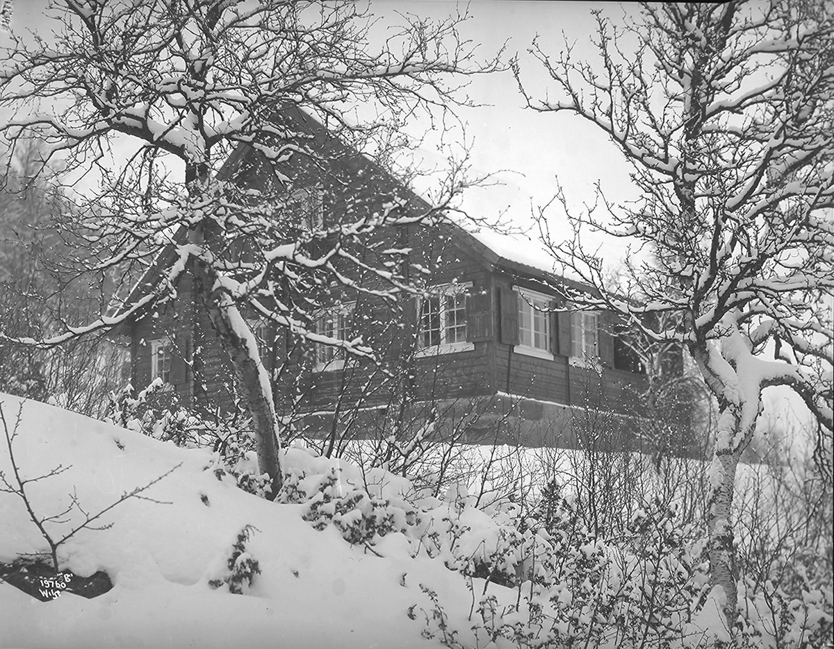 Anders Beer Wilse, Prot: Aspaas Villa Geilo