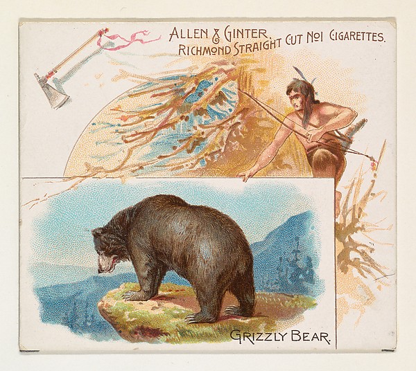 Allen & Ginter, Grizzly Bear, from Quadrupeds series (N41) for Allen & Ginter Cigarettes