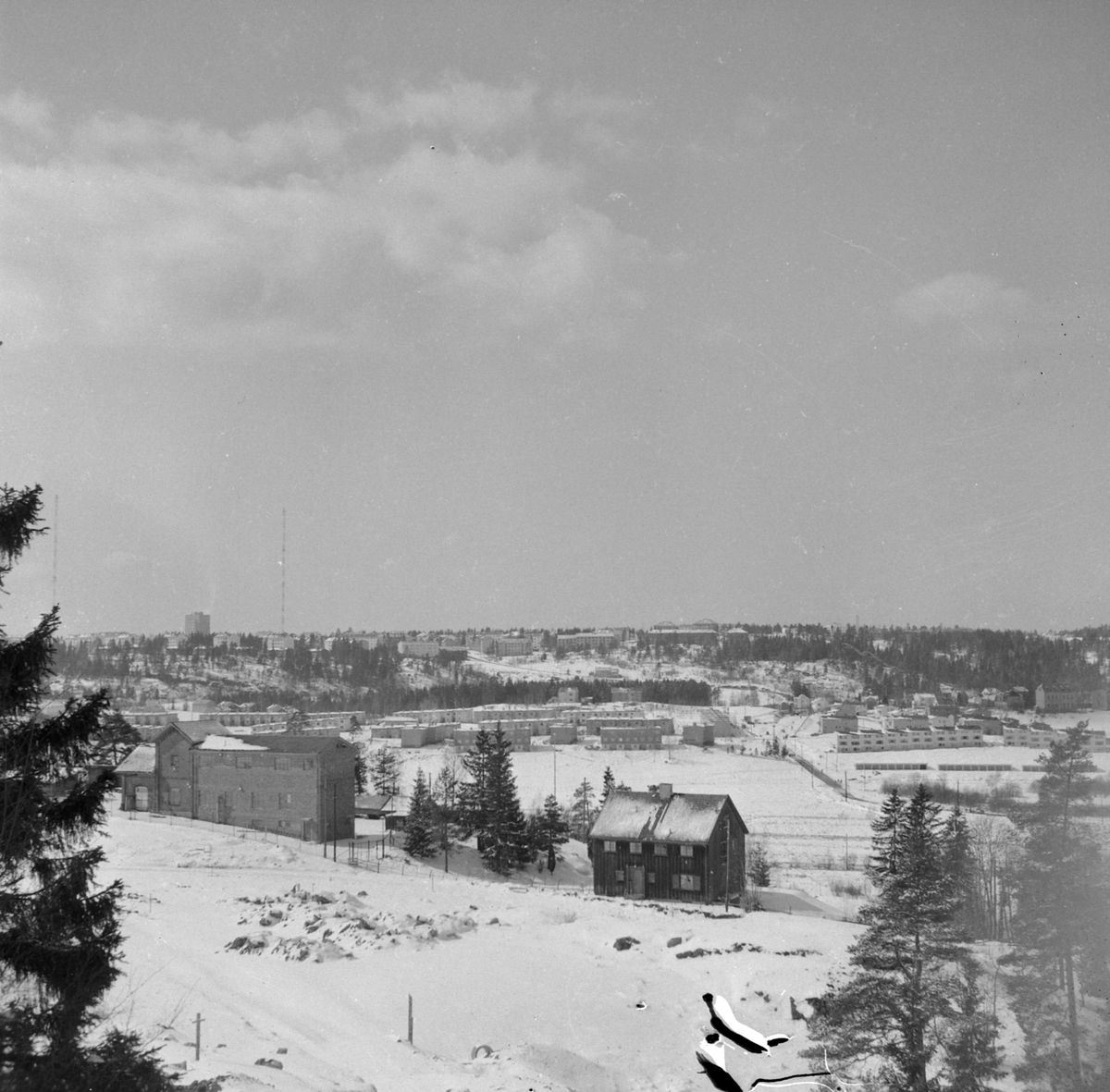 Adolf Skjegstad, ASK-04509
