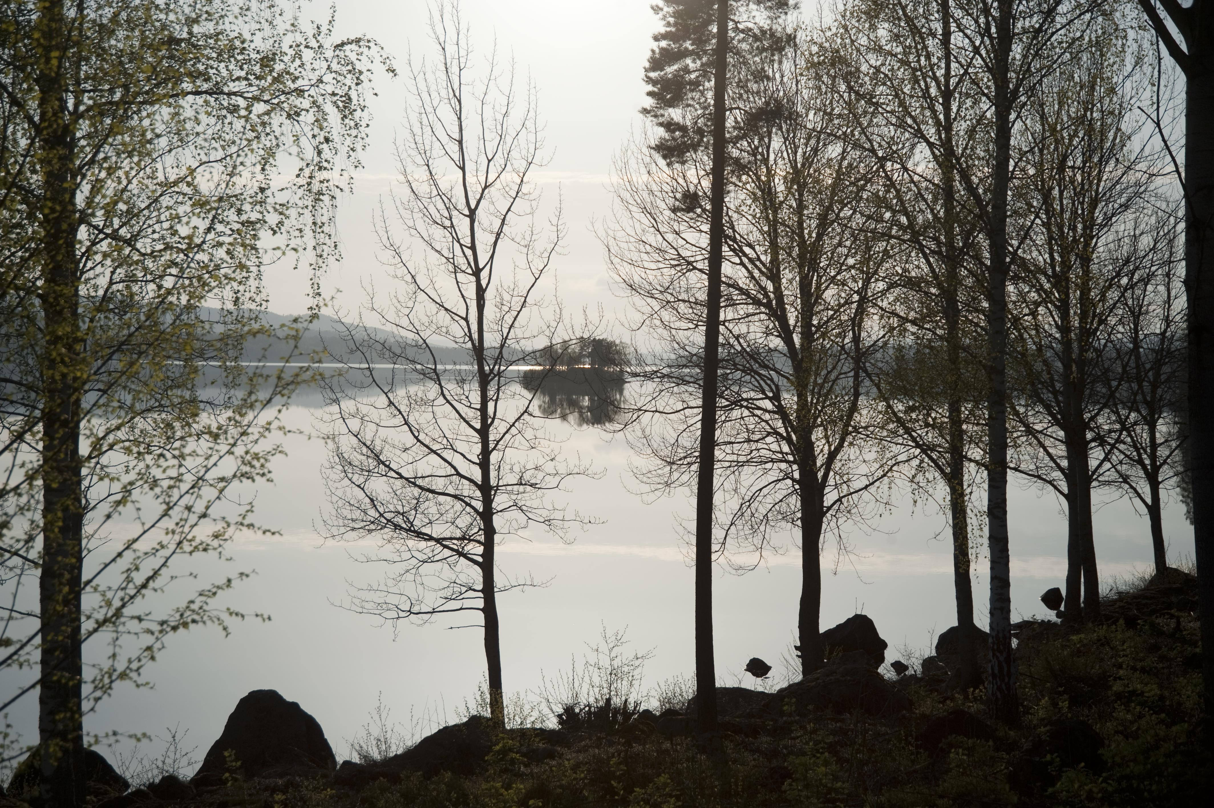 Bengt A Lundberg, Hasselasjön