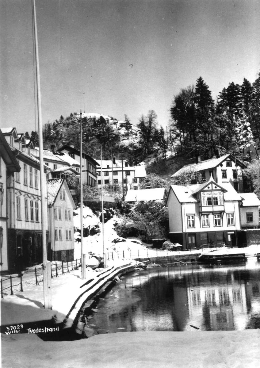 Anders Beer Wilse, Tvedestrand