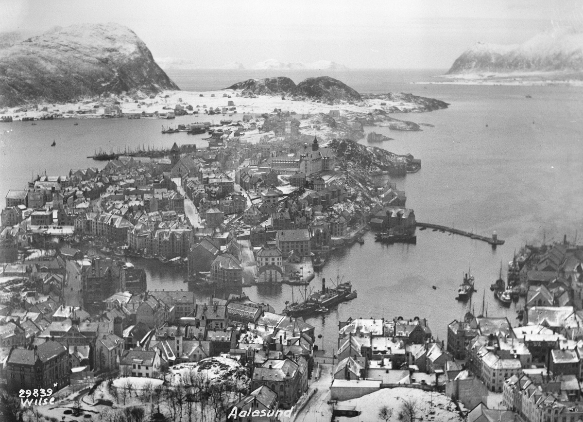 Anders Beer Wilse, Prot: Aalesund