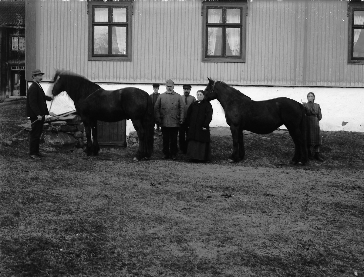 Martin Finborud, GRUPPE 6. MED TO HESTER. FORAN HUS.