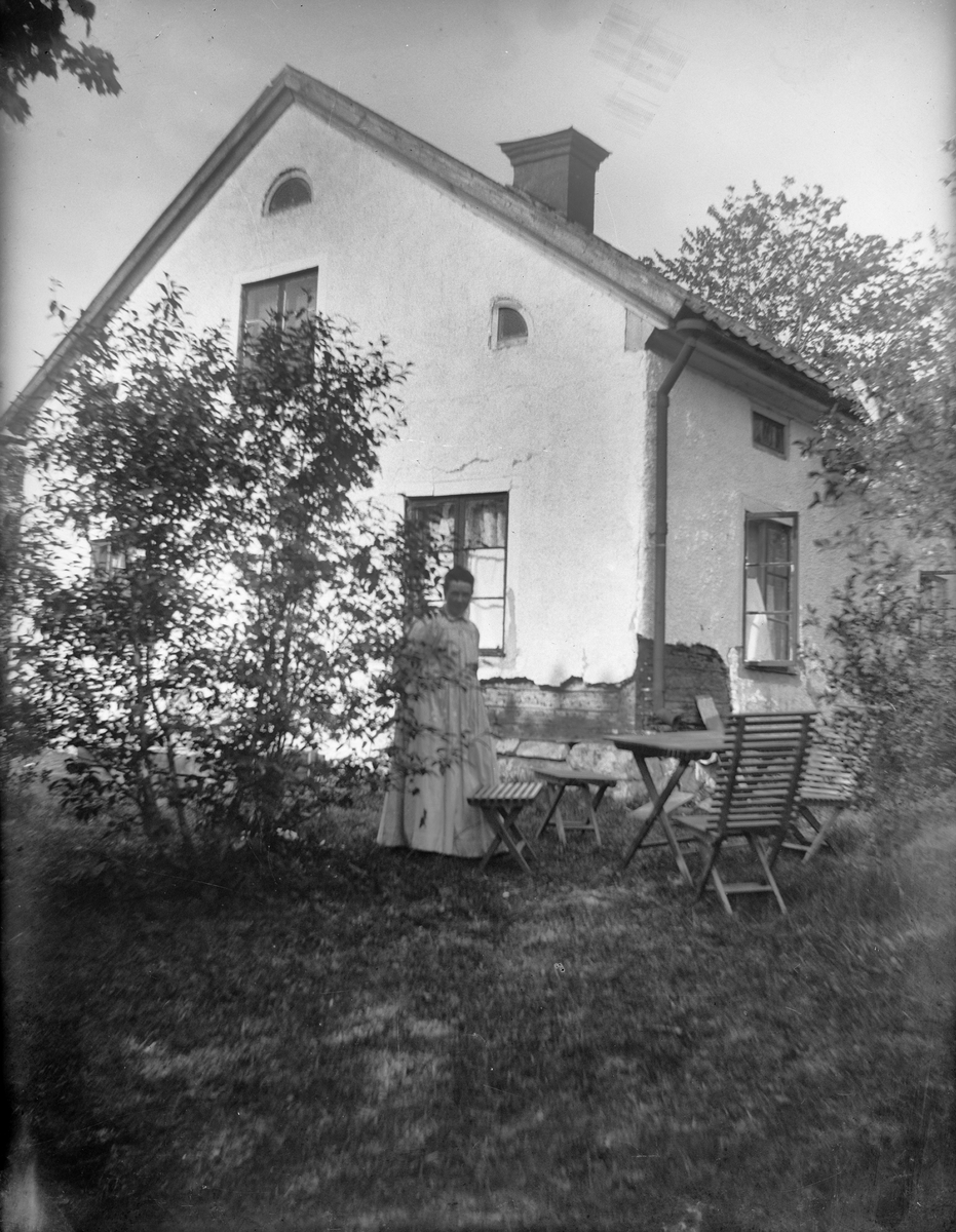 Carl Liljefors, Elin Liljefors in the Cherry Dog, Berhåga, Uppsala 1901