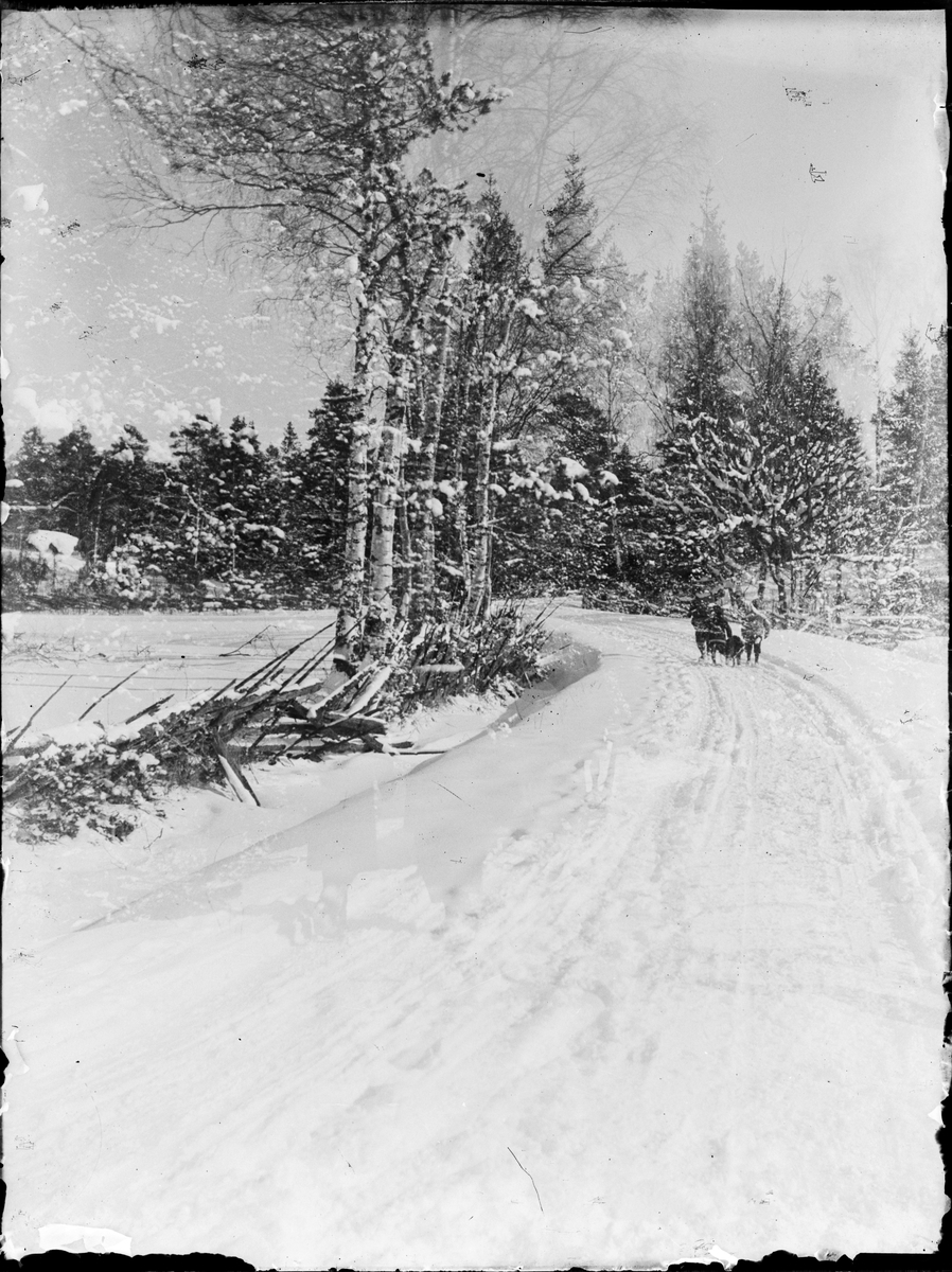 Skötsner-Edhlund, Vinterväg, Östhammar, Uppland