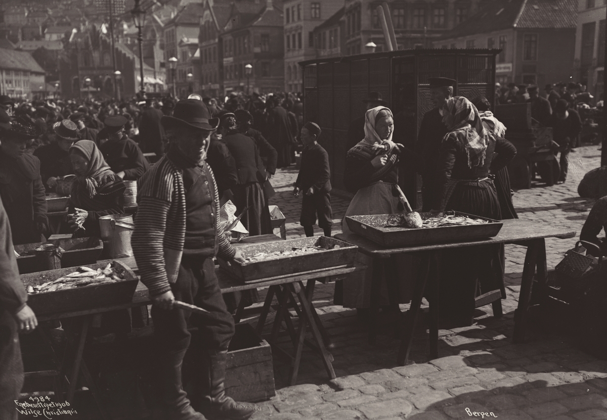 Anders Beer Wilse, Prot: Bergen Fiskebryggeliv Juni