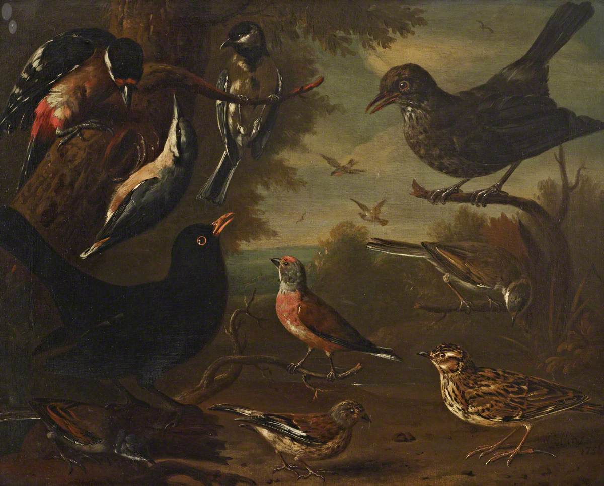 Charles Collins, British Birds: Hen Blackbird; Great Tit; Nuthatch; Great Spotted Woodpecker; Cock Whitethroat; Cock Linnet; Cock Blackbird; Woodlark; Hen Linnet and a Hen Whitethroat