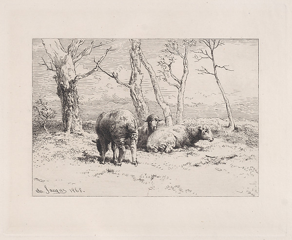 Charles Jacque, Moutons