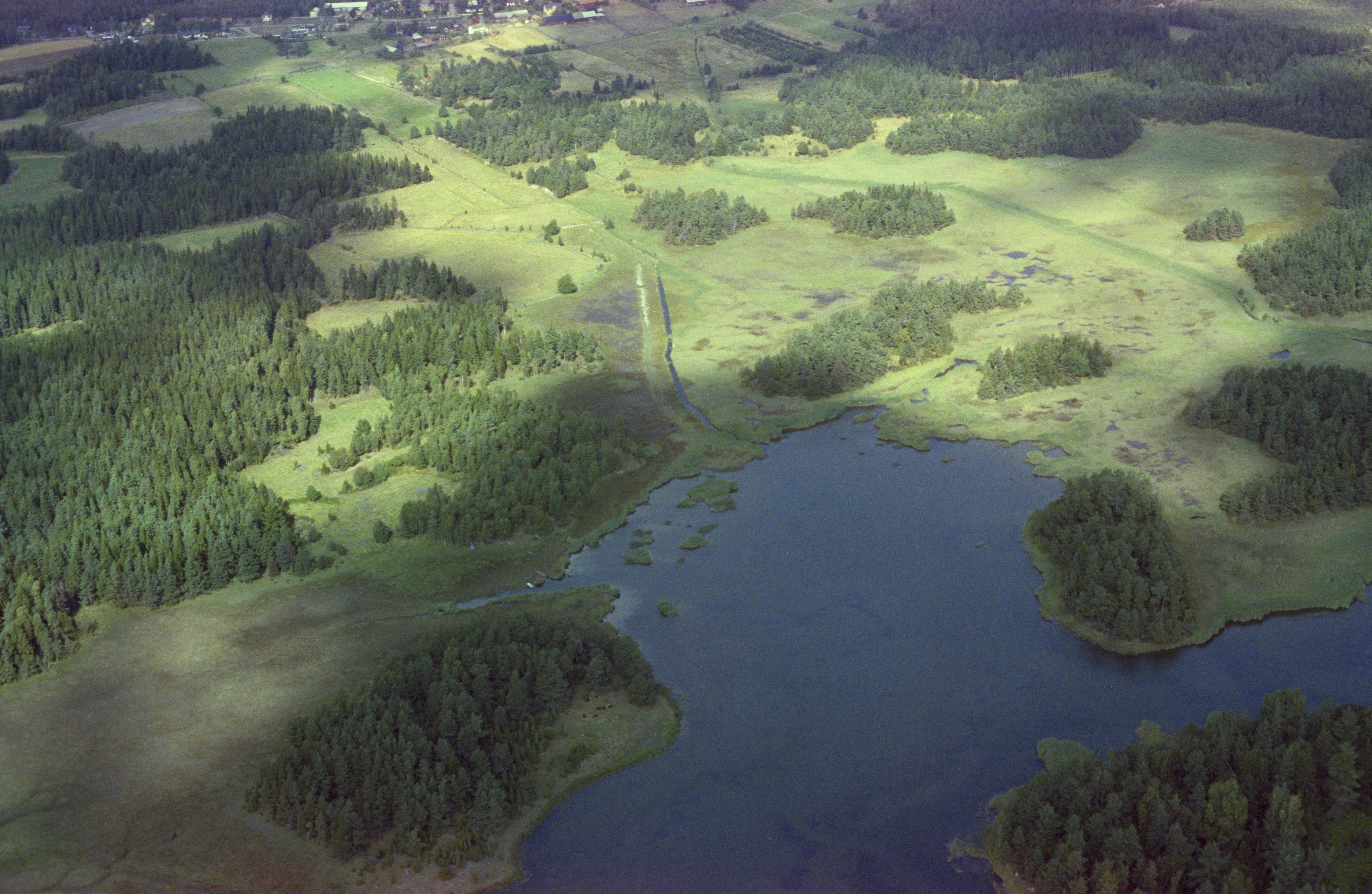 Jan Norrman, Mönsterås 82:1