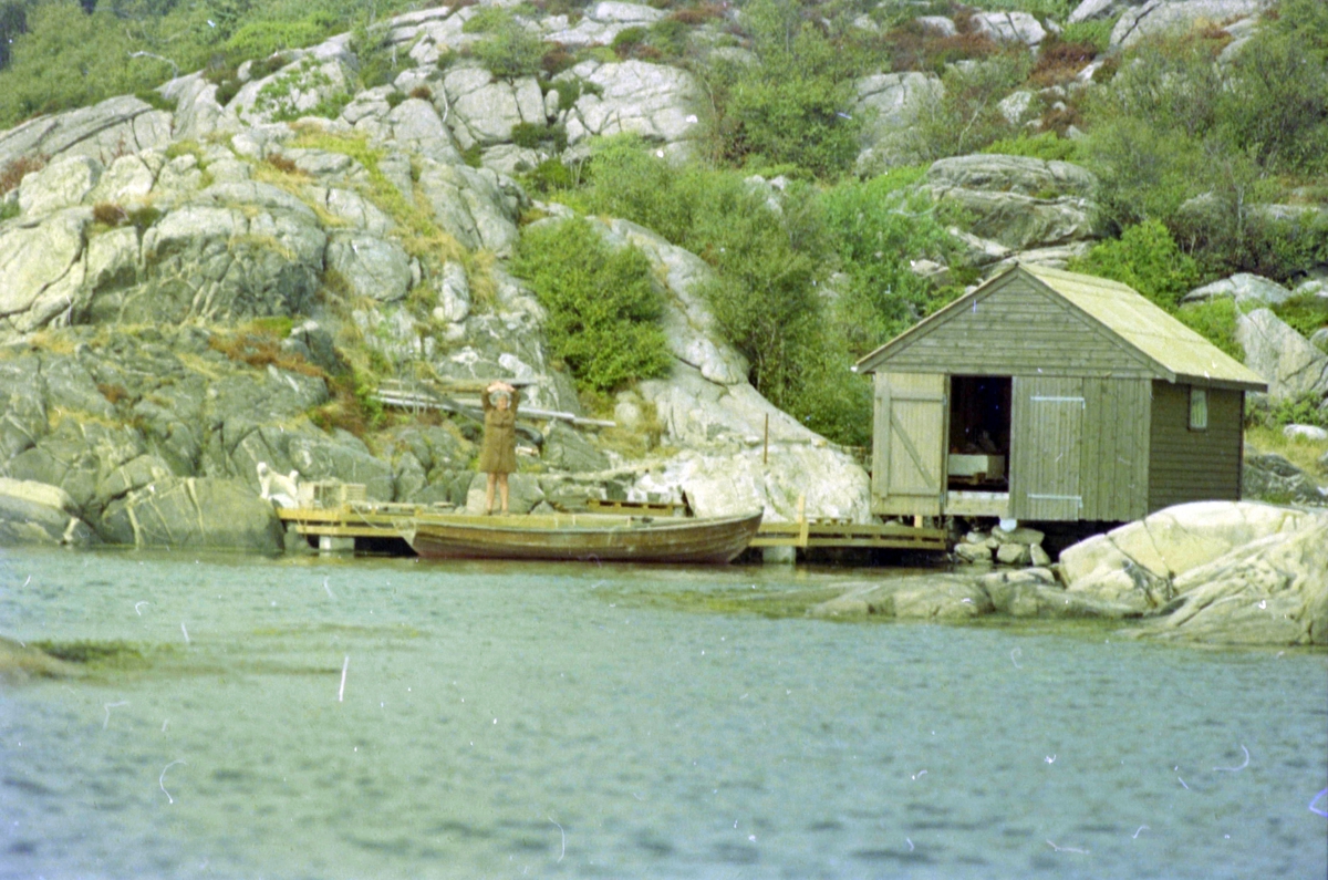 Adolf Skjegstad, ASK-04771