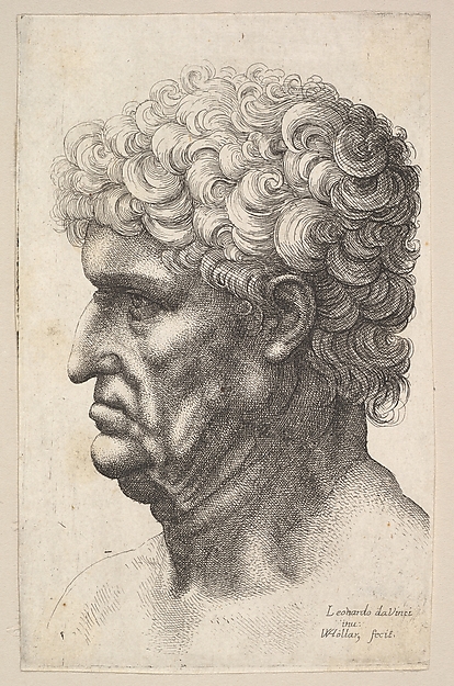 Wenceslaus Hollar, Head of a man with thick curly hair in profile to the left