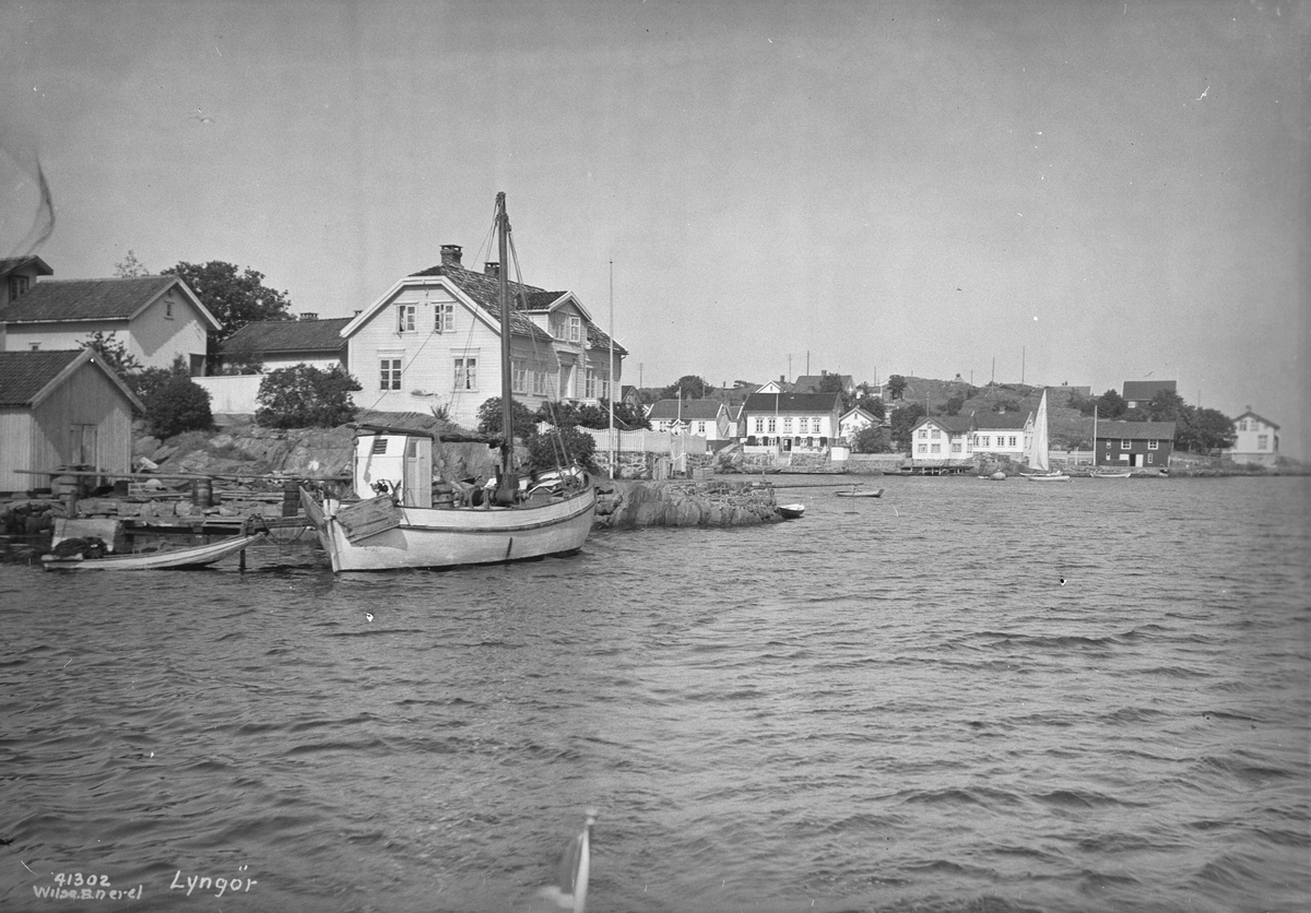 Anders Beer Wilse, Prot: Lyngør
