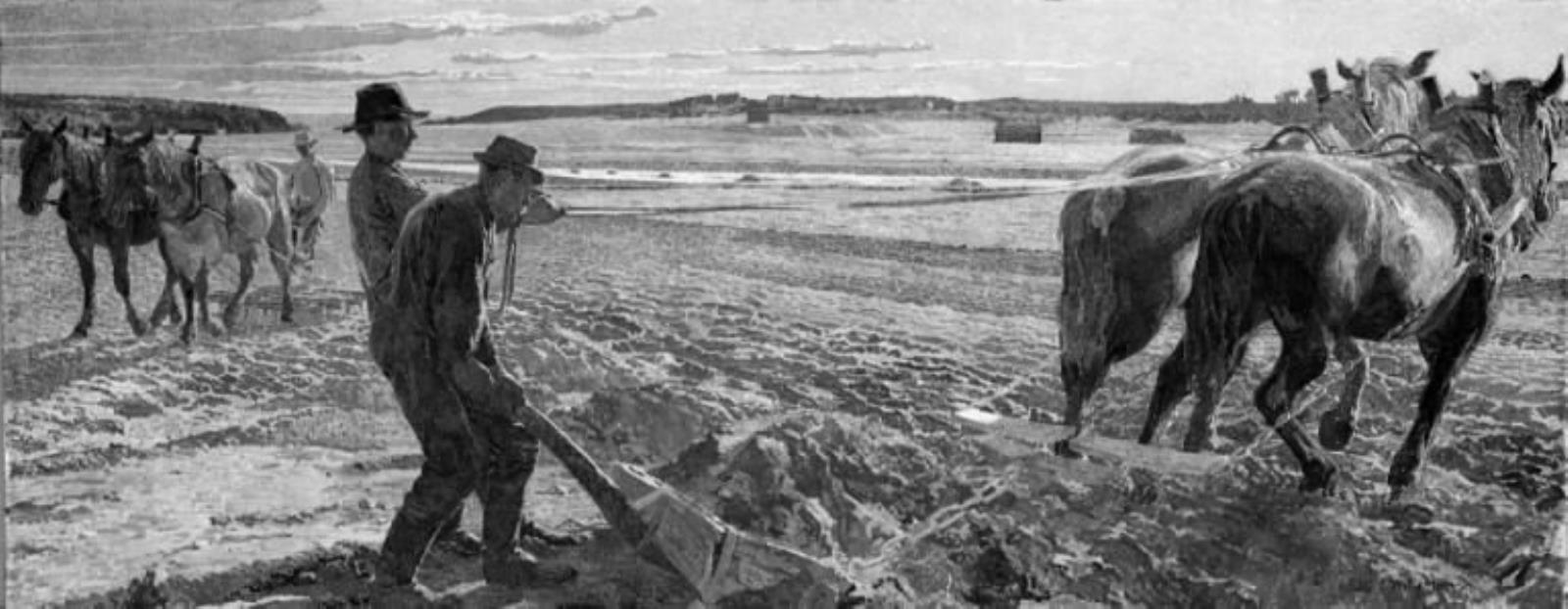 Carl Wilhelmson, Forårsarbejde
