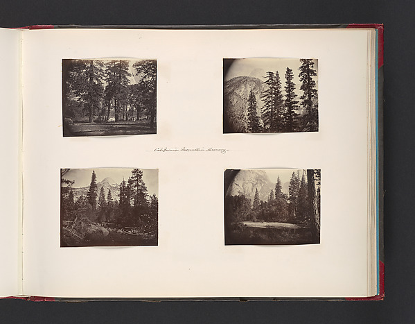 John Thomson, California Mountain Scenery