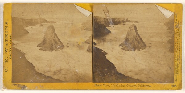 Carleton Watkins, Coast View, Mendocino County, California.