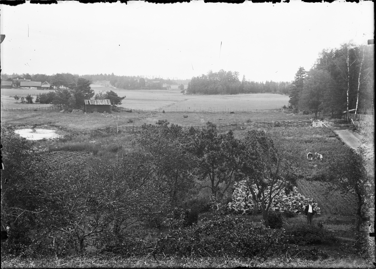 Johan Lundin, Landscape view, Broby towards Lillinge, Funbo parish, Uppland