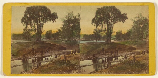 Edward and Henry T. Anthony & Co., A Ramble through the Southern Tier, on the Route of the Eire Rail Road. At Elmira. View of the Chemung, looking up the River.