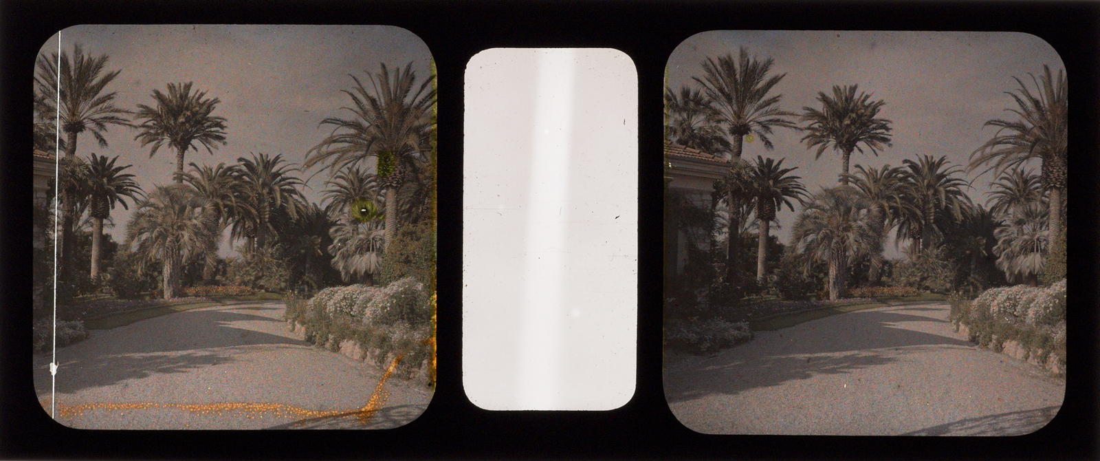 Desconegut, [Gardens]