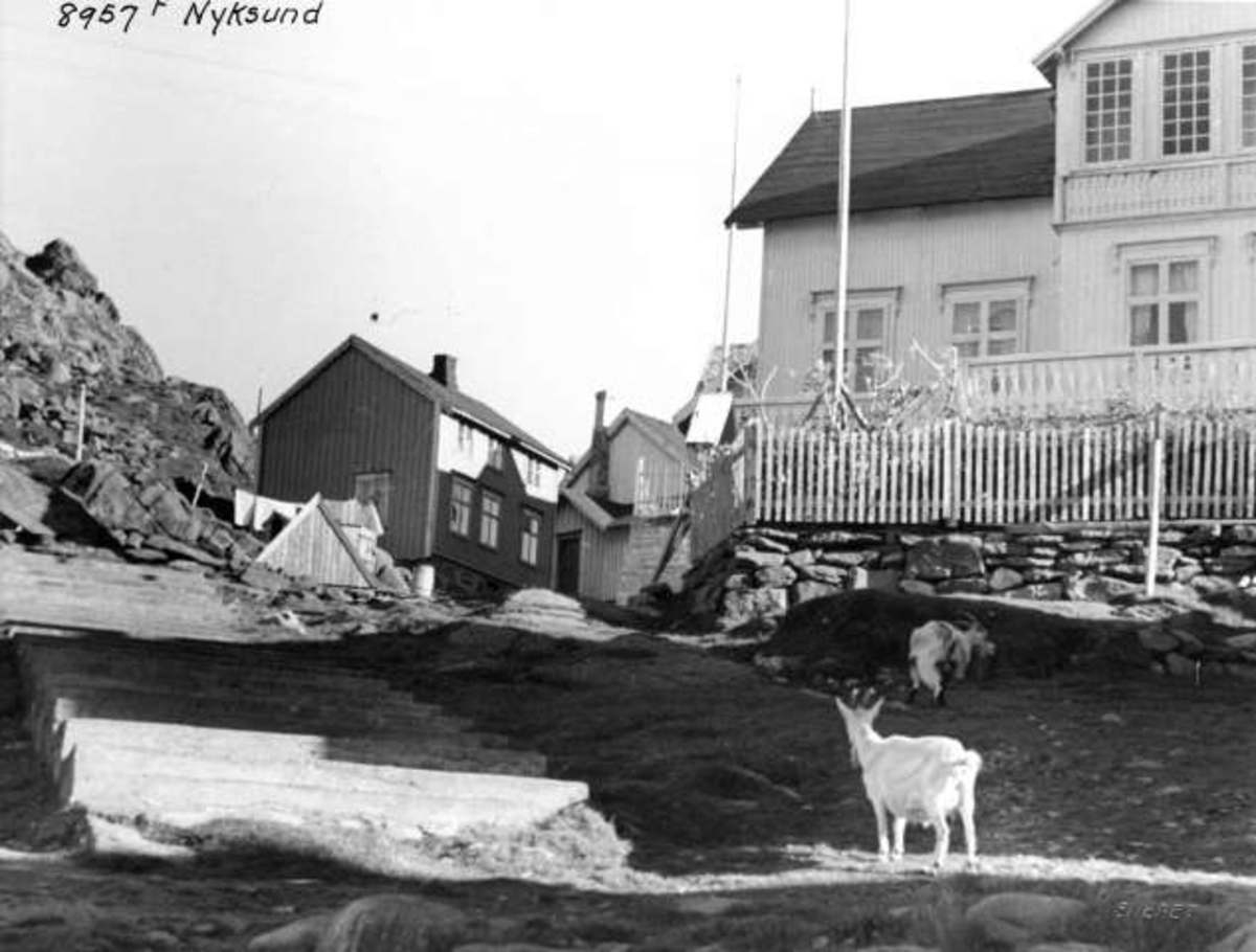 Anders Beer Wilse, Nyksund
