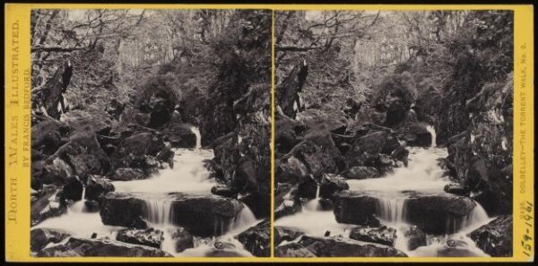 Francis Bedford, Dolgelley - The Torrent Walk, no2