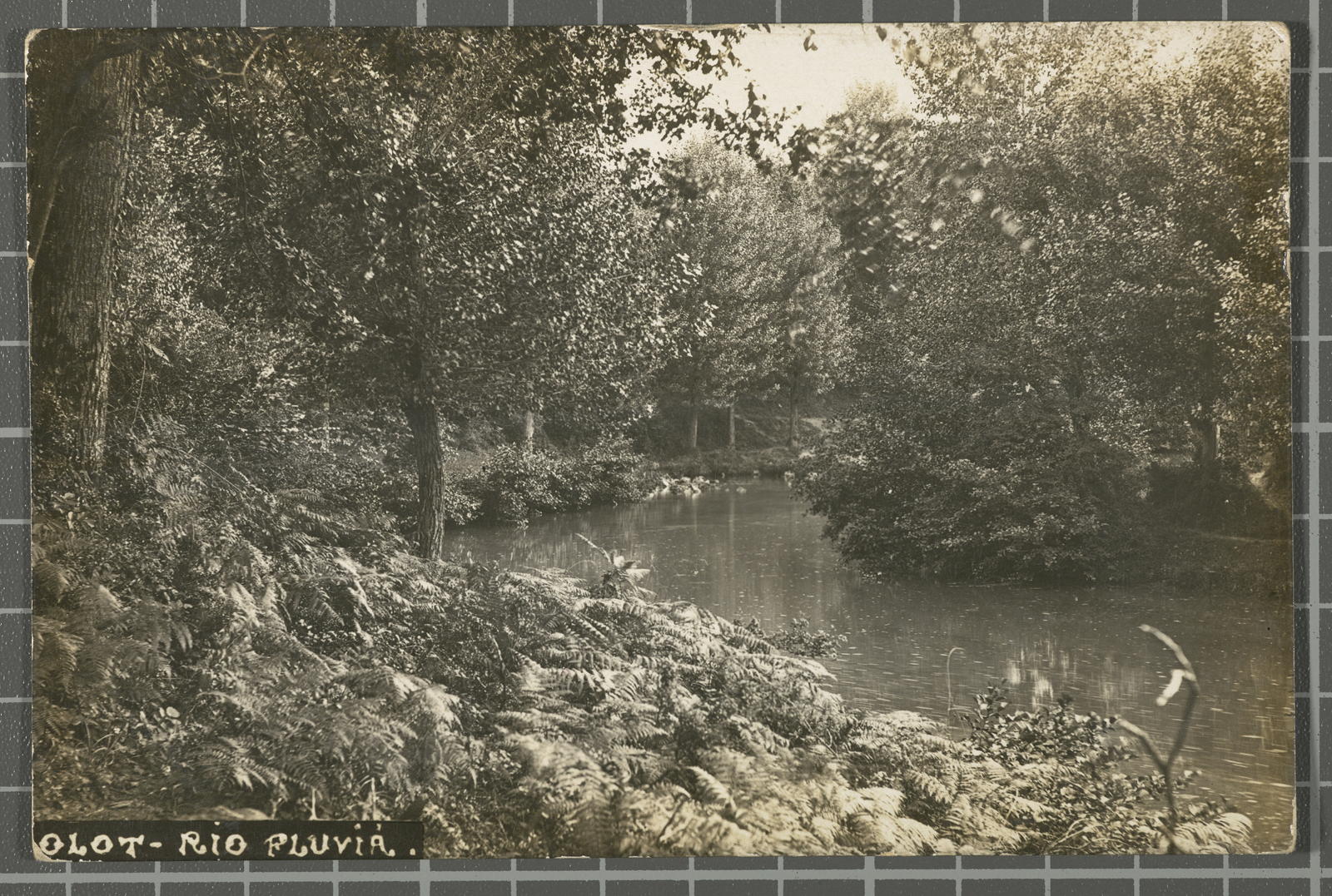 Desconegut, Olot - Rio Fluviá