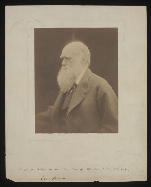 Cameron, Julia Margaret, Charles Darwin