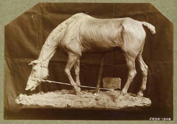 unknown, Photograph
