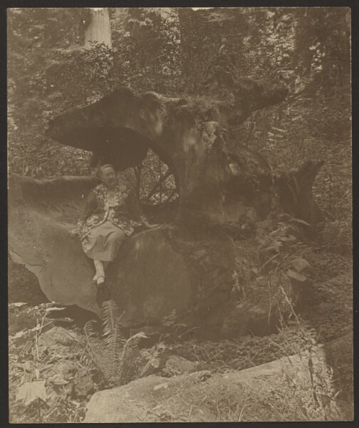 Louis Fleckenstein, [Woman Sitting on Rocks, Possibly Mrs. Fleckenstein]