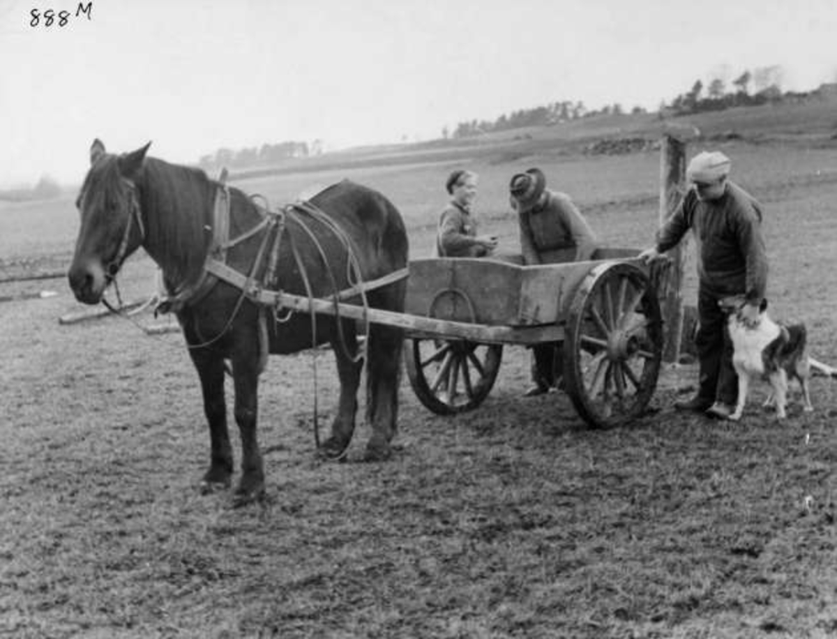 Anders Beer Wilse, -7937