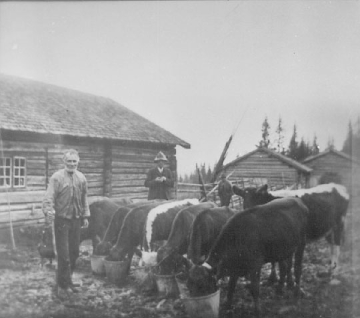 Normann Helger, KUER FORES, KALVER DRUKKER VANN, SVEISER MARTINIUS ANDERSEN, BAK: SAKFØRER HALVOR ERIKSEN OG BERNT R. PAULSEN, BLEKUFJELLSETER, TRYSIL