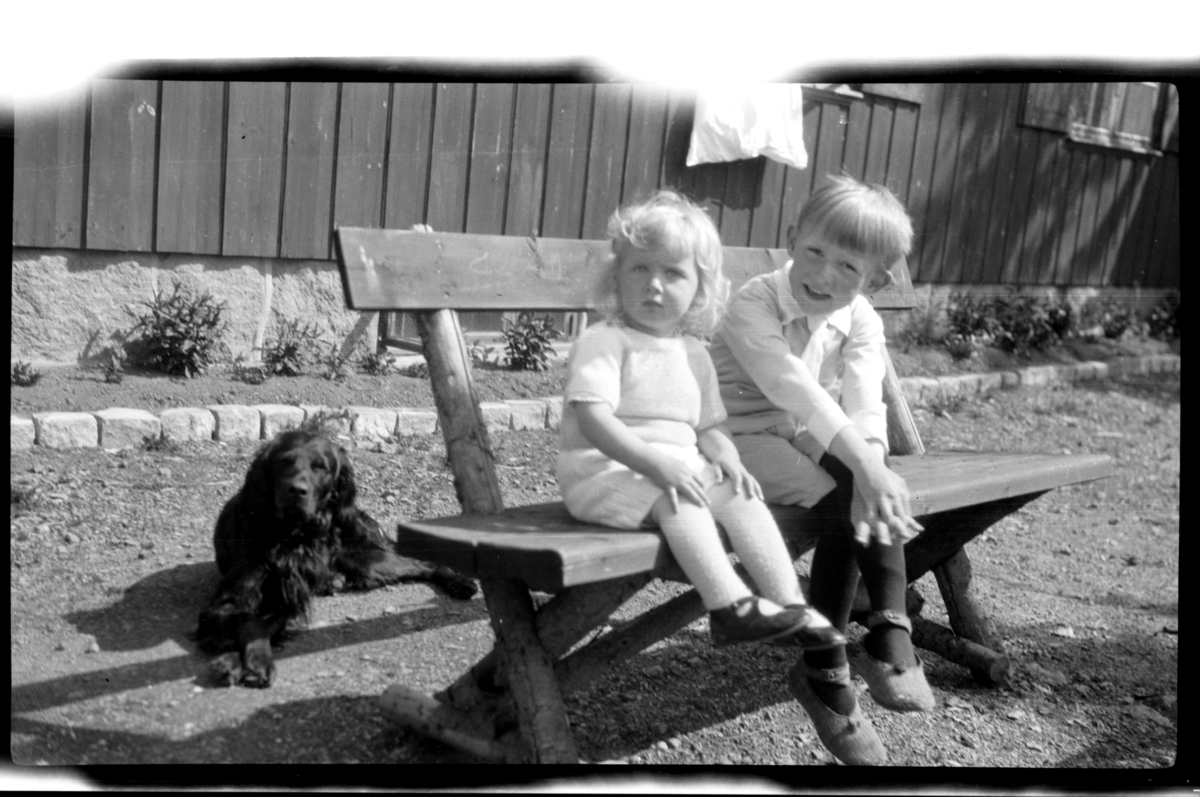 Rolf Sr. Sundt, Rolf Sundt jr. (vel ett år) sitter på benken sammen med sin bror Julius, hunden Rollo ligger bak, Villa Knyggen. Fotografert 1922.