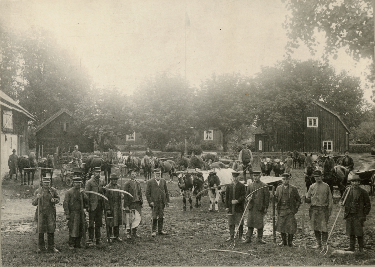 Okänd,, Manskap och djur på gården Haglösa, Films socken, Uppland i början av 1900-talet