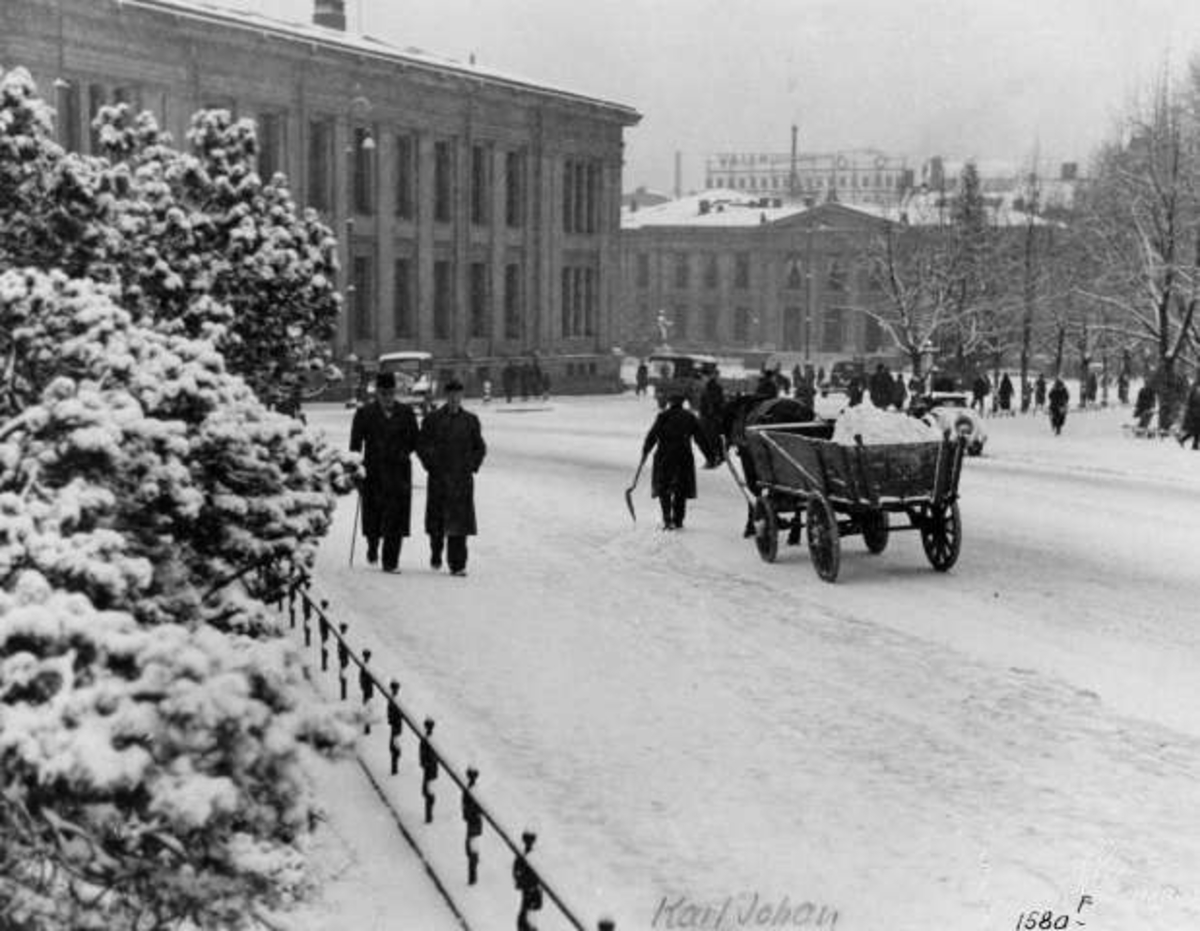 Anders Beer Wilse, Gateliv ved Universitetet i Oslo, 1935.