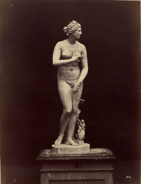 Fratelli Alinari, Venus di Medici
