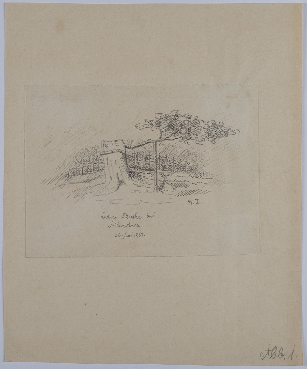 Rudolf Lutter, Liebenstein (Bad Liebenstein, Thüringen): Lutherbuche bei Altenstein