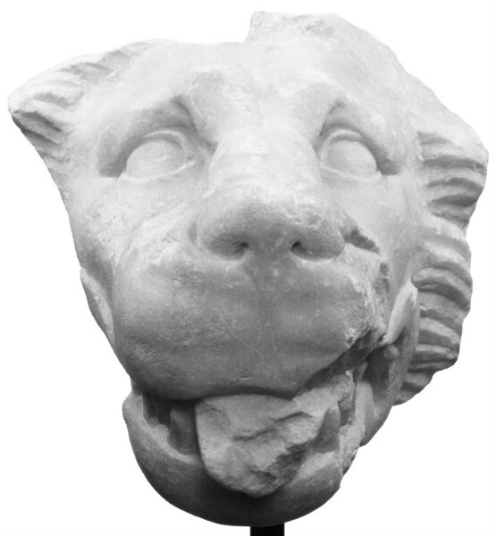 Unknown, Head of a Lion