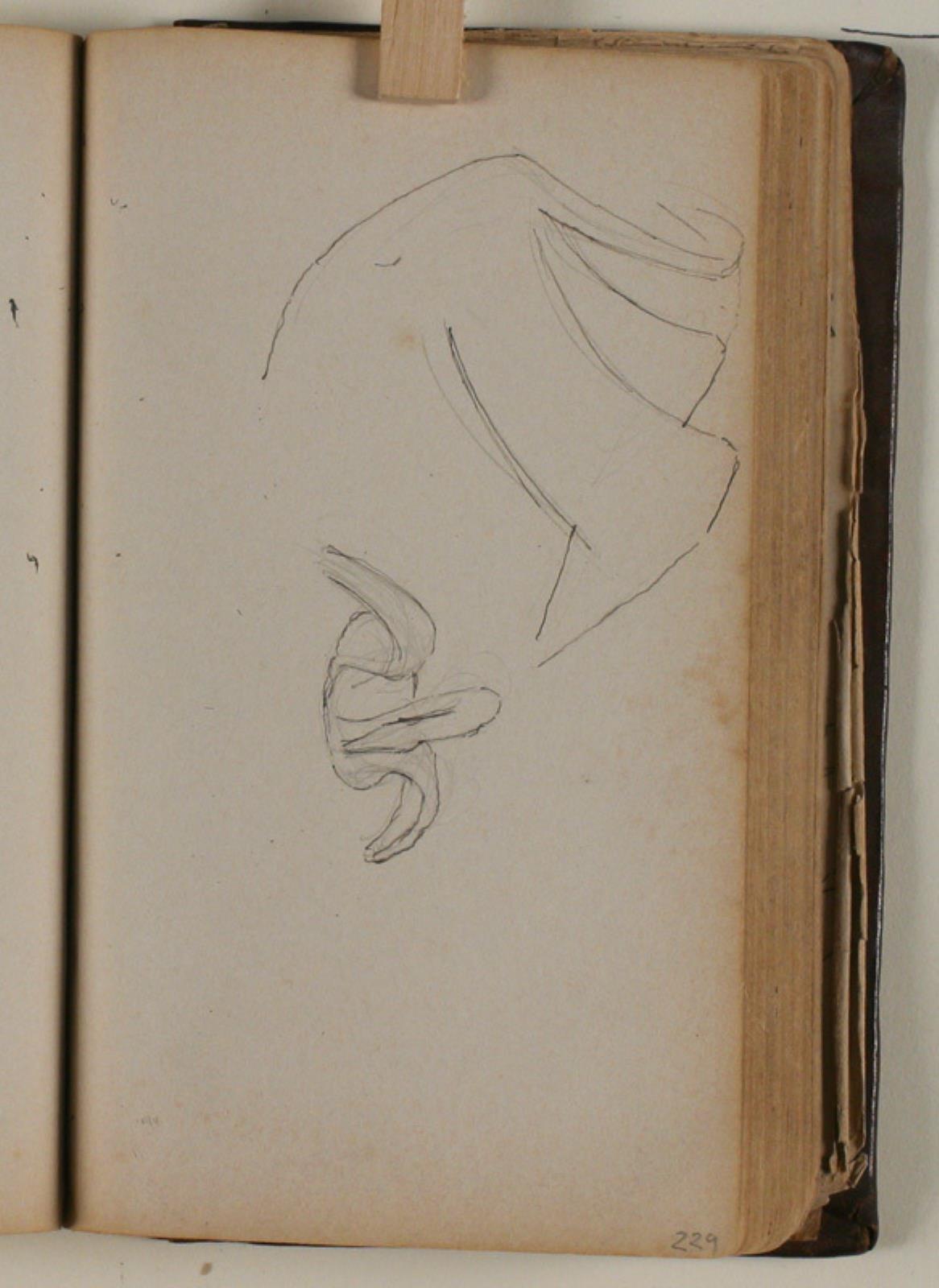 Niels Larsen Stevns, Studier af svane