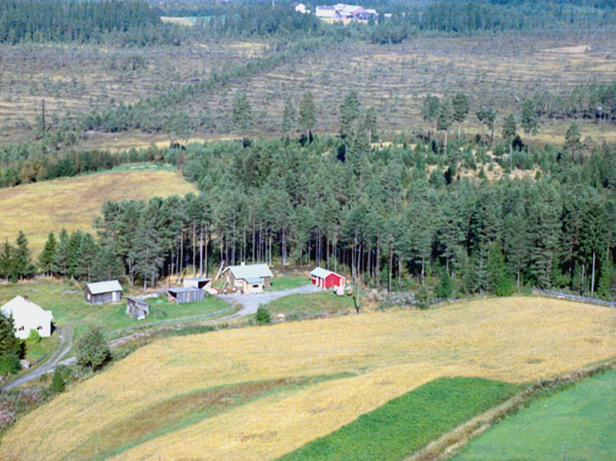 Anno Domkirkeodden, FLYFOT, , T. V. MYRHOL, T. H. SKOGLUND, LØTEN