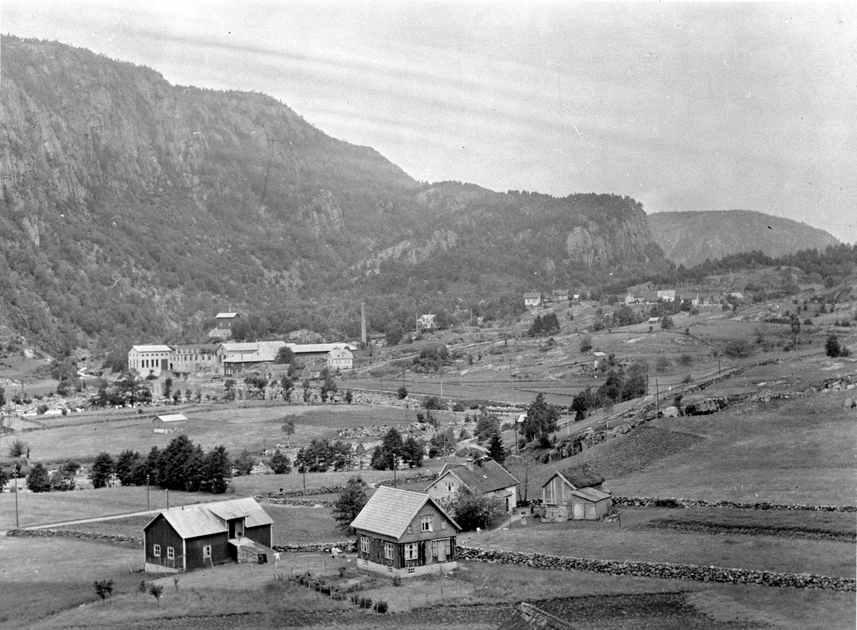 Anders Beer Wilse, Prot: Trælandsfoss Fabrik Kvinesdal