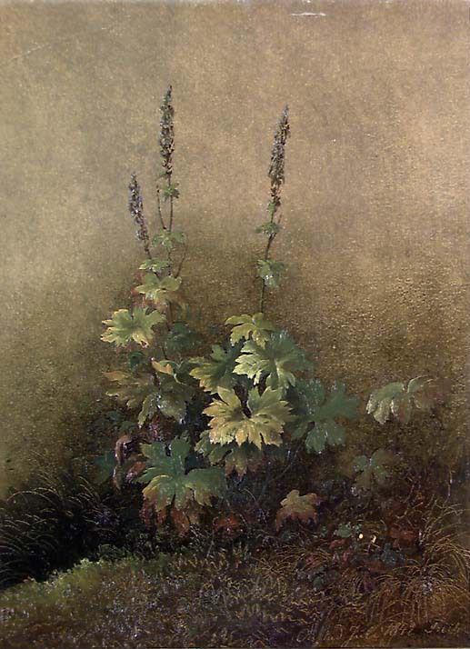 Joachim Frich, Study of a Plant
