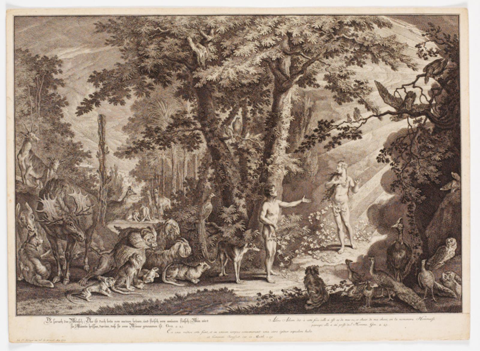 Johann Elias Ridinger, Adams første møde med Eva.