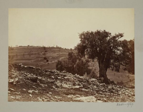 Unknown, View of Mount of Olives, Jerusalem