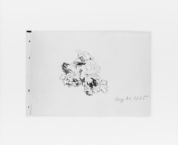William Trost Richards, Aug 21 1885: Nature Study (from Sketchbook X)